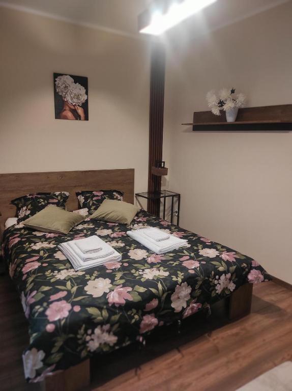 Apartament Centrum Rp كاتوفيتسه المظهر الخارجي الصورة